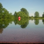 Piscine écologique